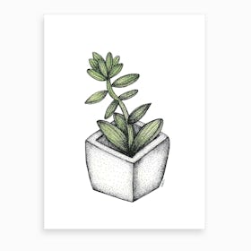 Succulent In A White Pot  Art Print
