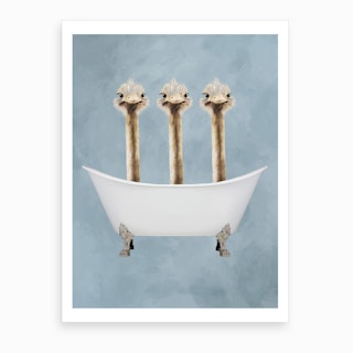 Ostriches In Bathtub Art Print