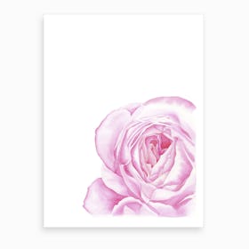 Magenta Rose Art Print