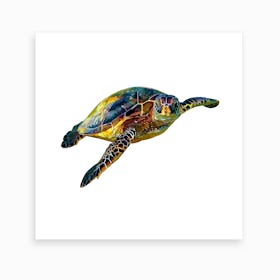Hawksbill Sea Turtle 2 Art Print
