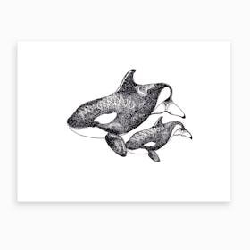 Orcas Art Print
