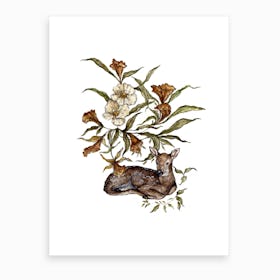 Wildflower Fawn Art Print