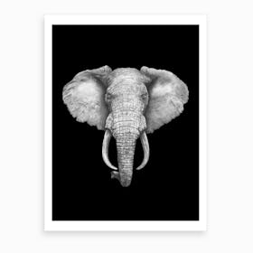 Elephant On Black Art Print