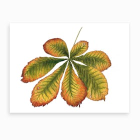 Horse Chestnut Leaf Art Print