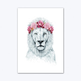 Festival Lion Art Print