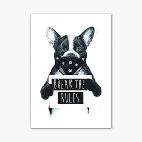 Rebel Dog Art Print