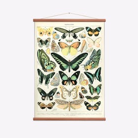 Papillons Art Print