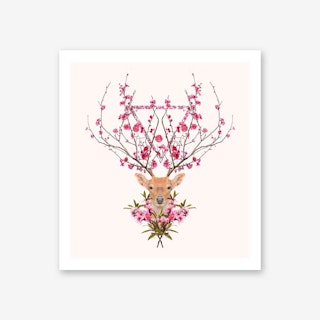 Spring Deer Art Print