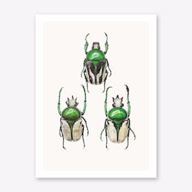 Insects IV Art Print