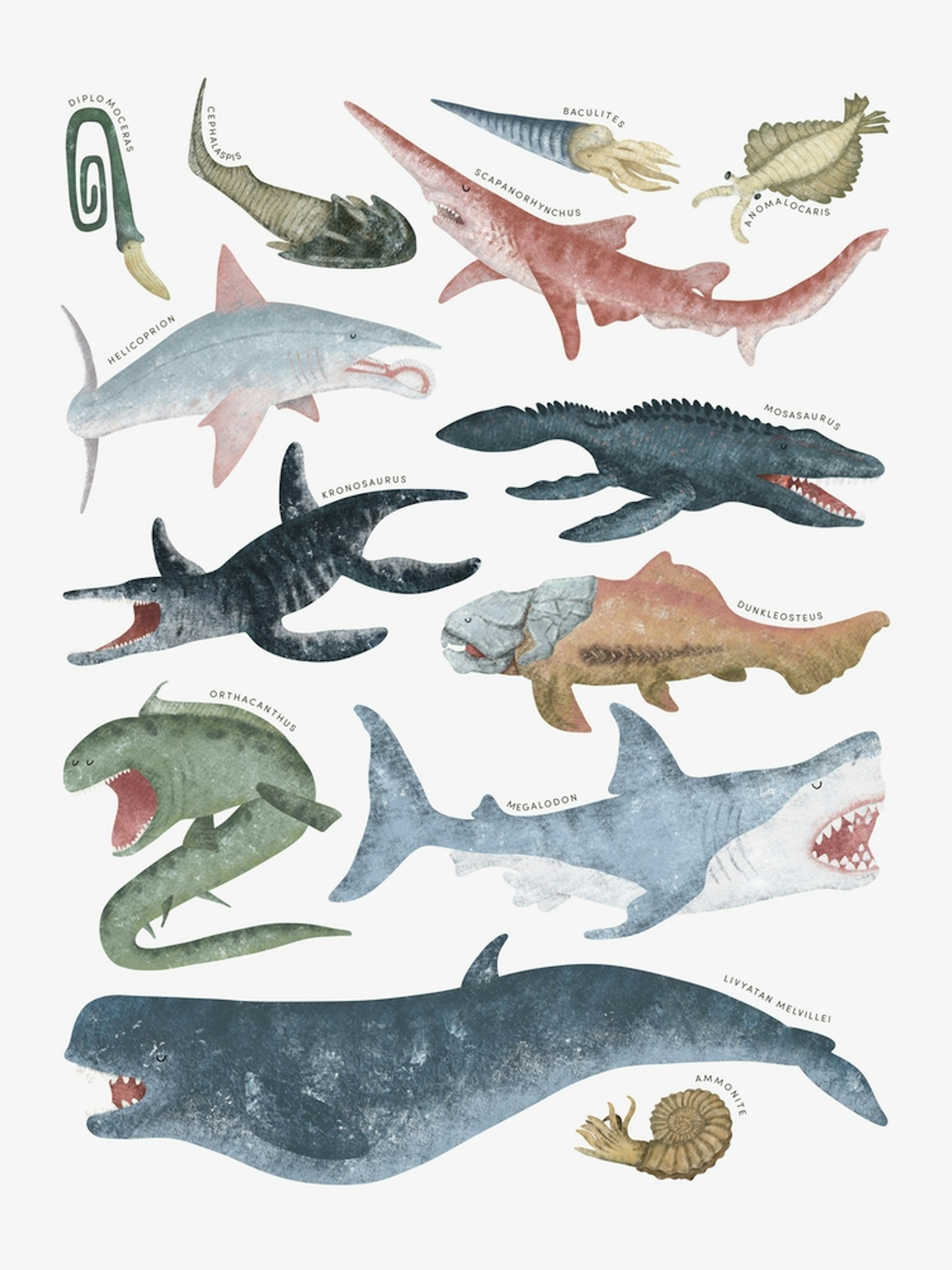prehistoric marine life poster