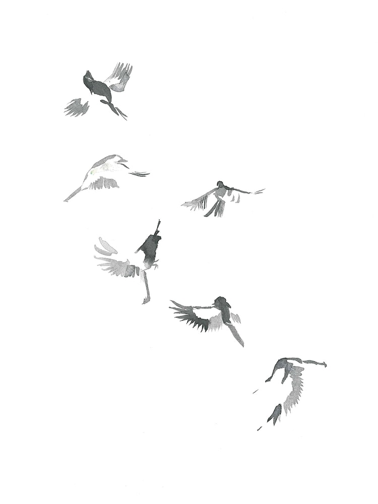 birds flying drawing tumblr