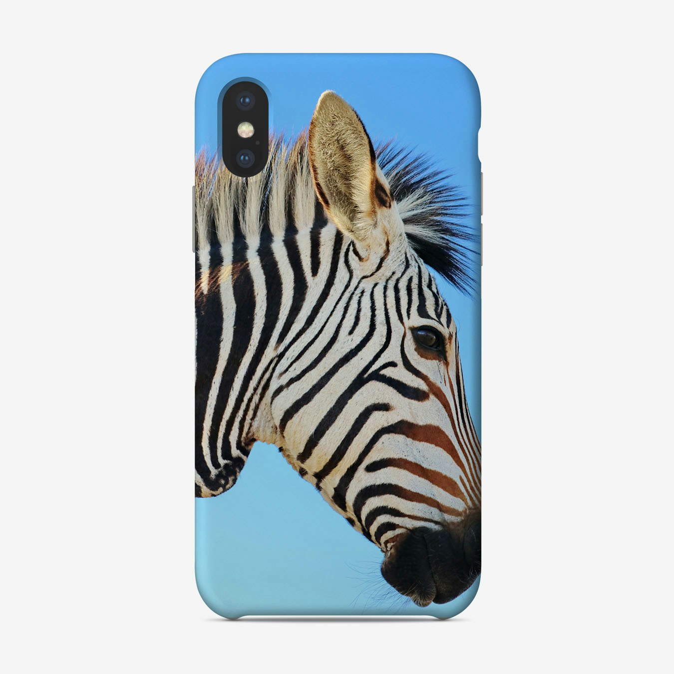 Zebra Phone Case by Thula Photography Fy