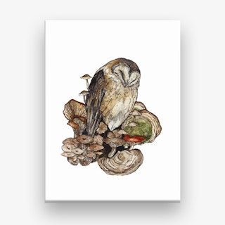 Sleeping Owl Art Print by Lamblittle Illustration - Fy