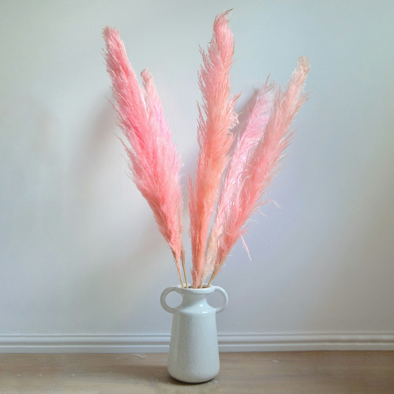 Pampas Grass Dried Bunch Pink by Pampas & Bloom Fy