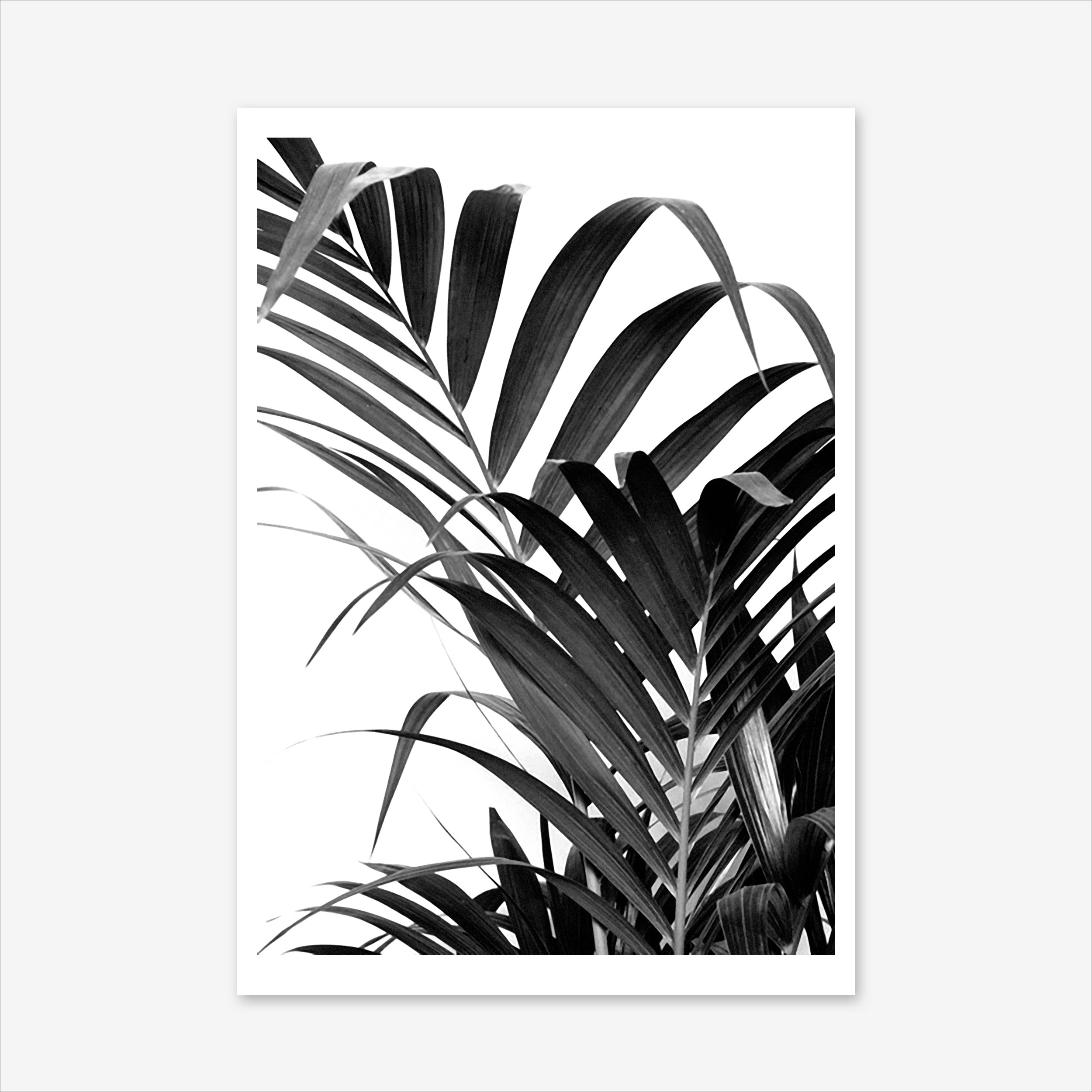 Palm Leaf 02 Art Print | Fast shipping | Fy