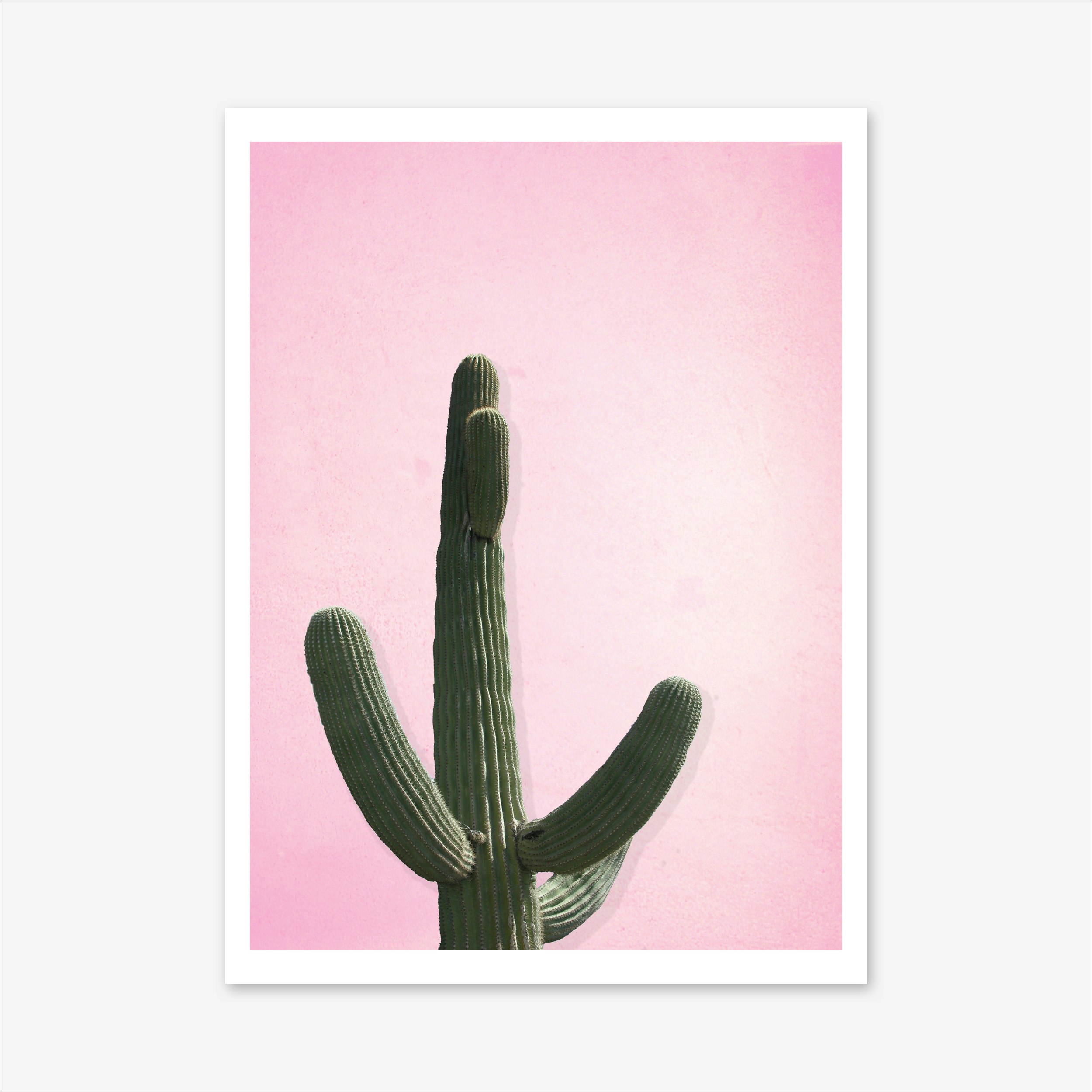 Cactus #1 Art Print by Honeymoon Hotel - Fy