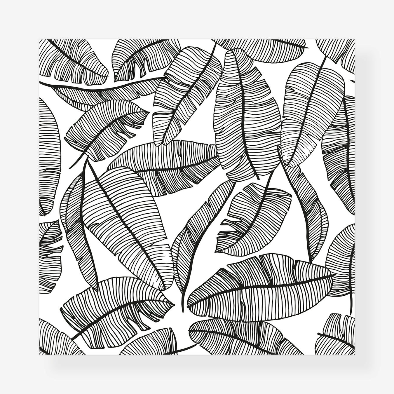 Tropical Leaves Wallpaper - Black / White by Lilipinso - Fy
