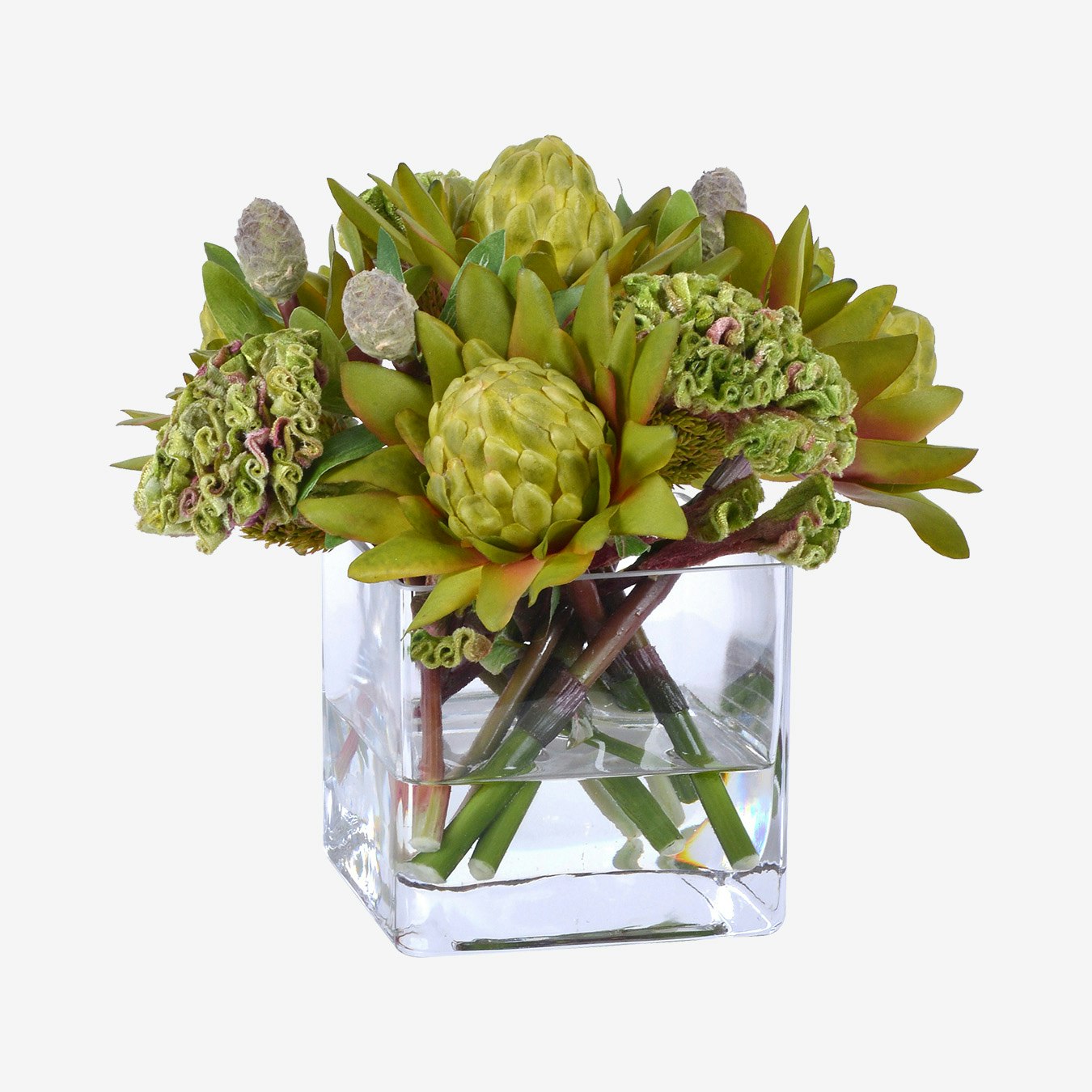 Green Waratah In Glass Vase By Winward - Fy