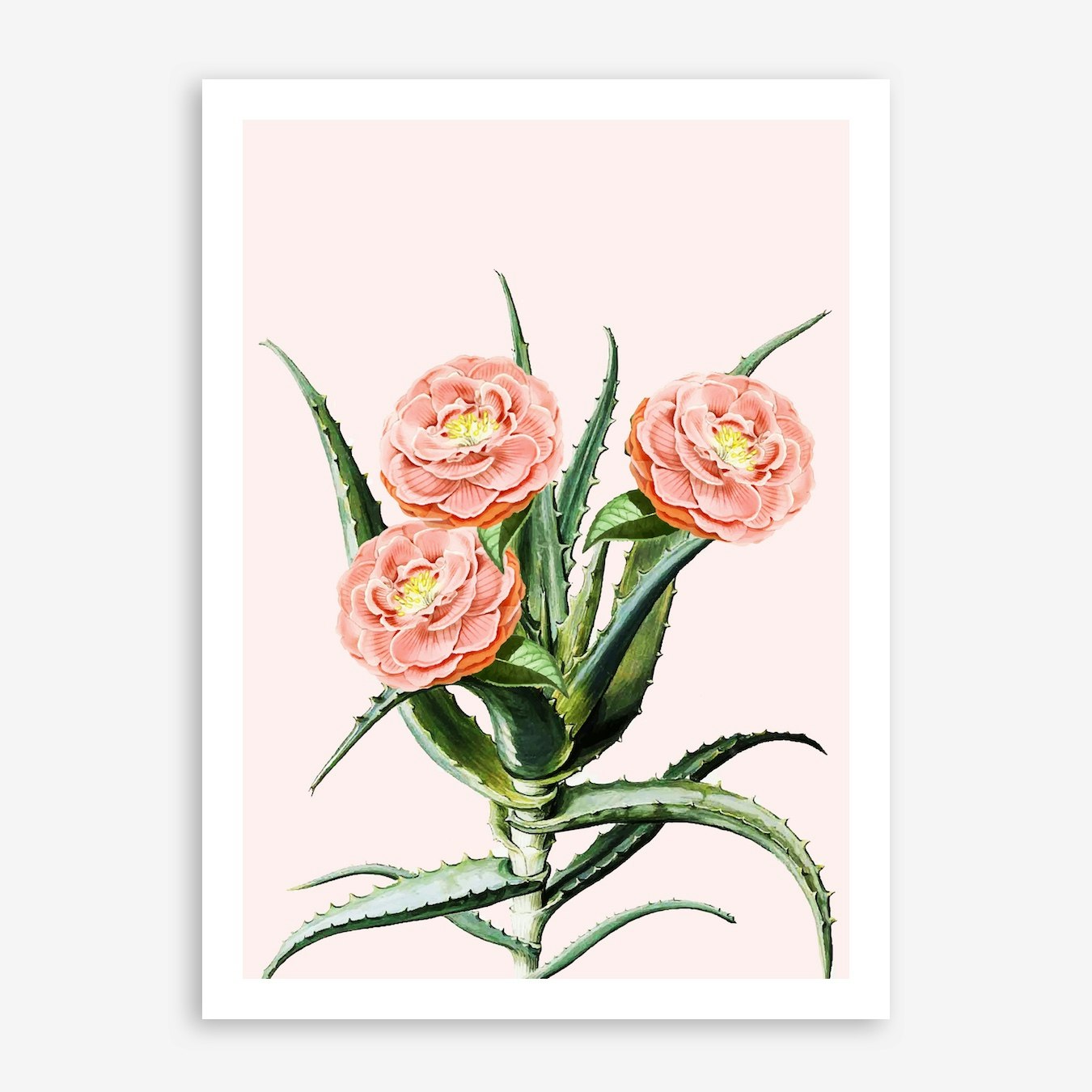 Blush Cactus V2 In Art Print by 83 Oranges Fy