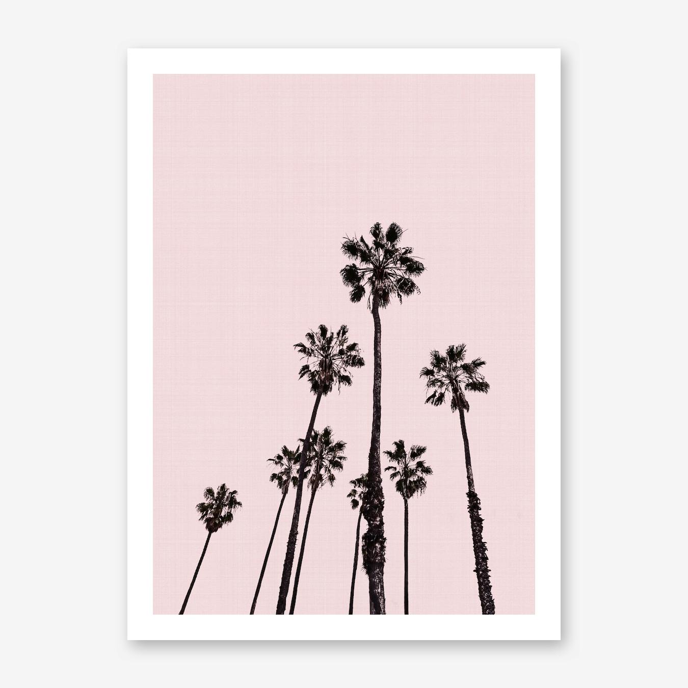 Palm Tree Art Prints and Posters | Free Tropical Chrysanthemum Pillow 32x32