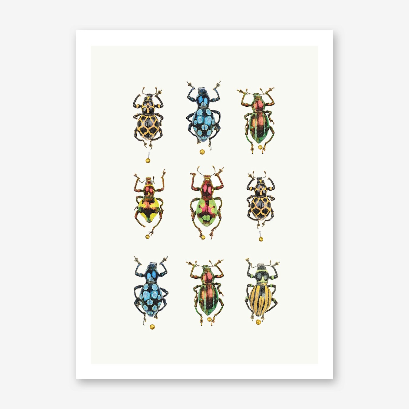 Insects V Print | Fast shipping | Fy