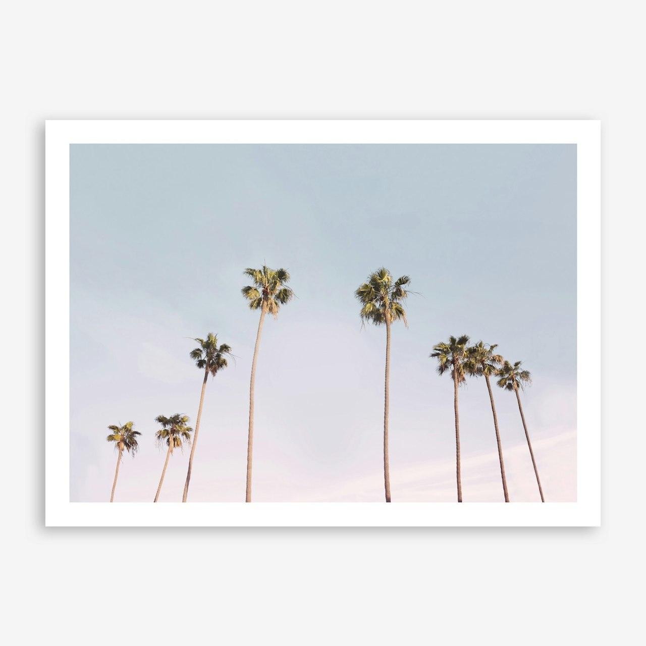 Botanical Art Prints & Posters | Free Shipping & Returns | Shop Fy! Art