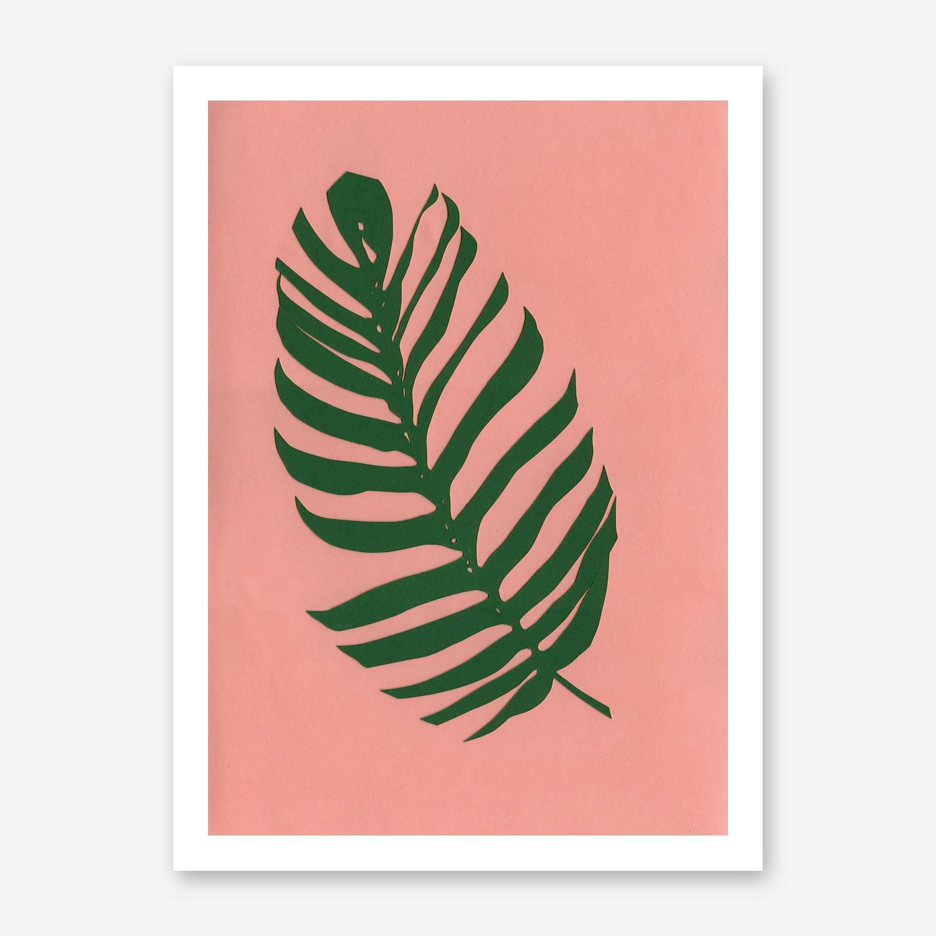 Philodendron Art Print by Rosi Feist - Fy