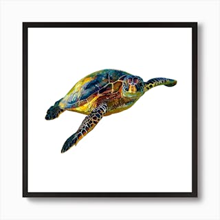 Hawksbill Sea Turtle 2 Art Print By Designkind - Fy