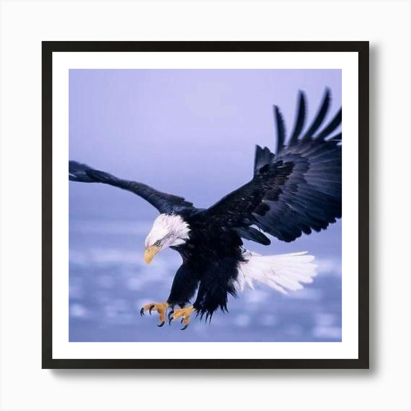 XXL Framed Wing of popular a White-tiled Eagle Antique Poster Print for Home