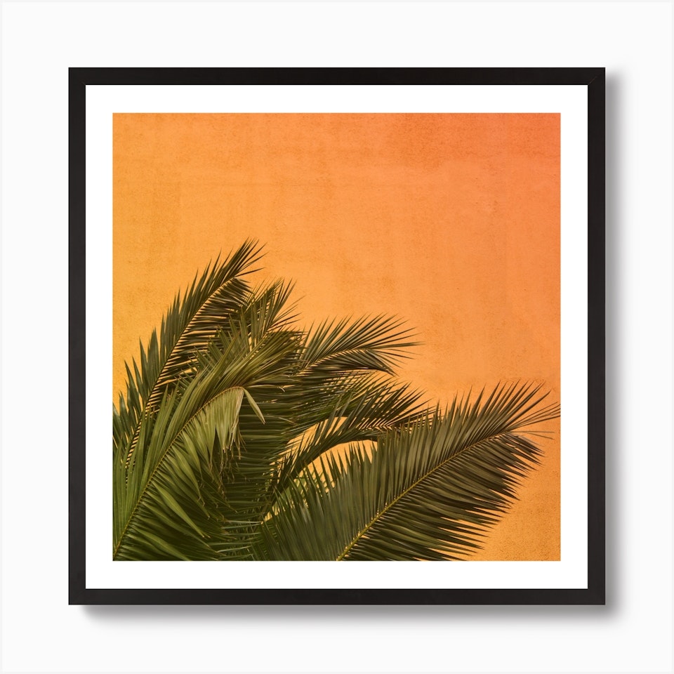 Map Of The World Wall Art Shop Fy