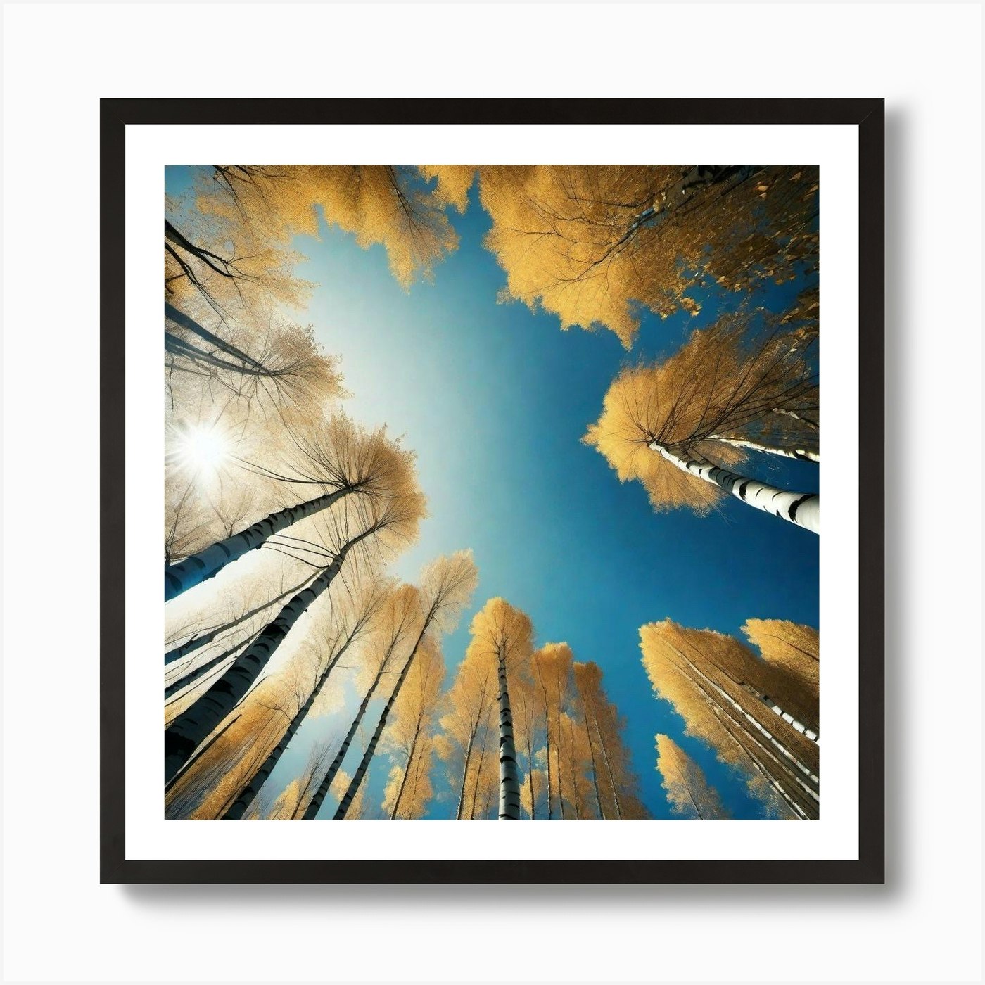 Birch Trees 22 Art Print By Noctarius Fy 2216