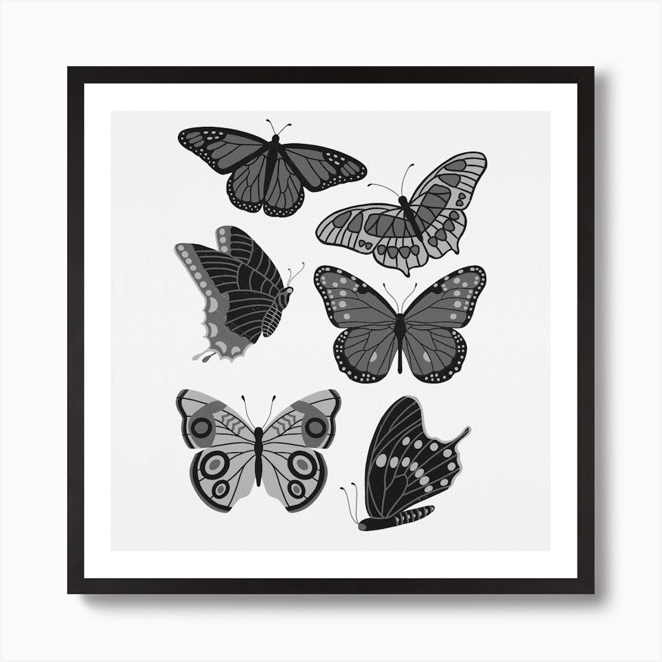 Flutter Posters | Shop Fy