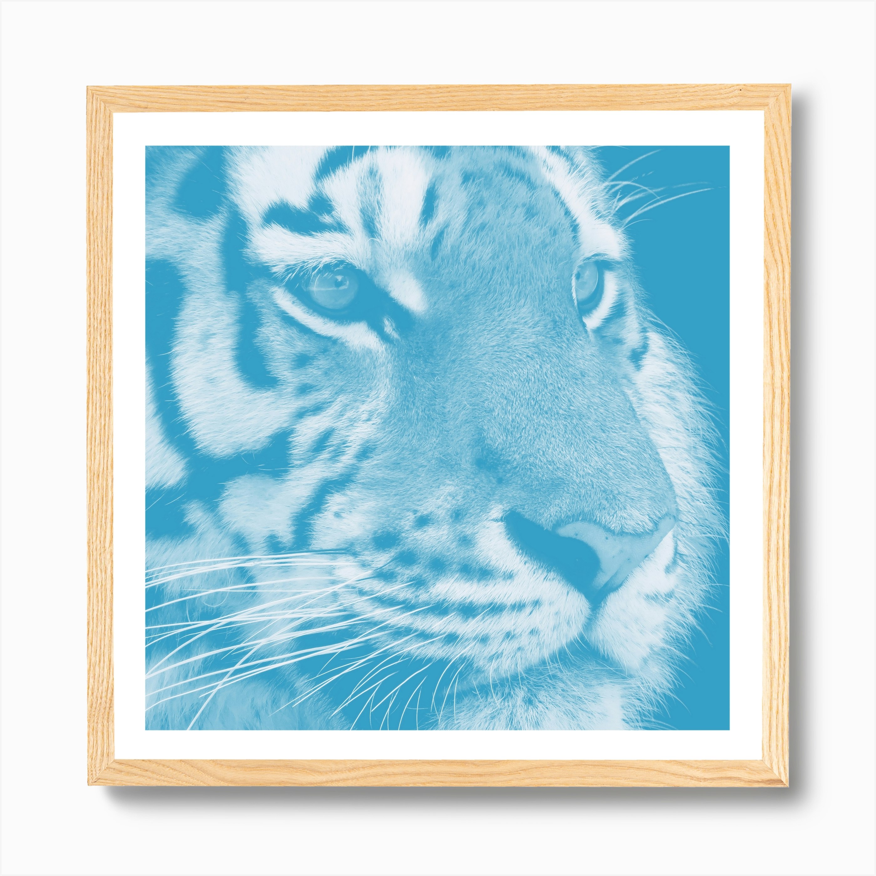 Tiger Pastel Blue Square Art Print by Thula Photography - Fy