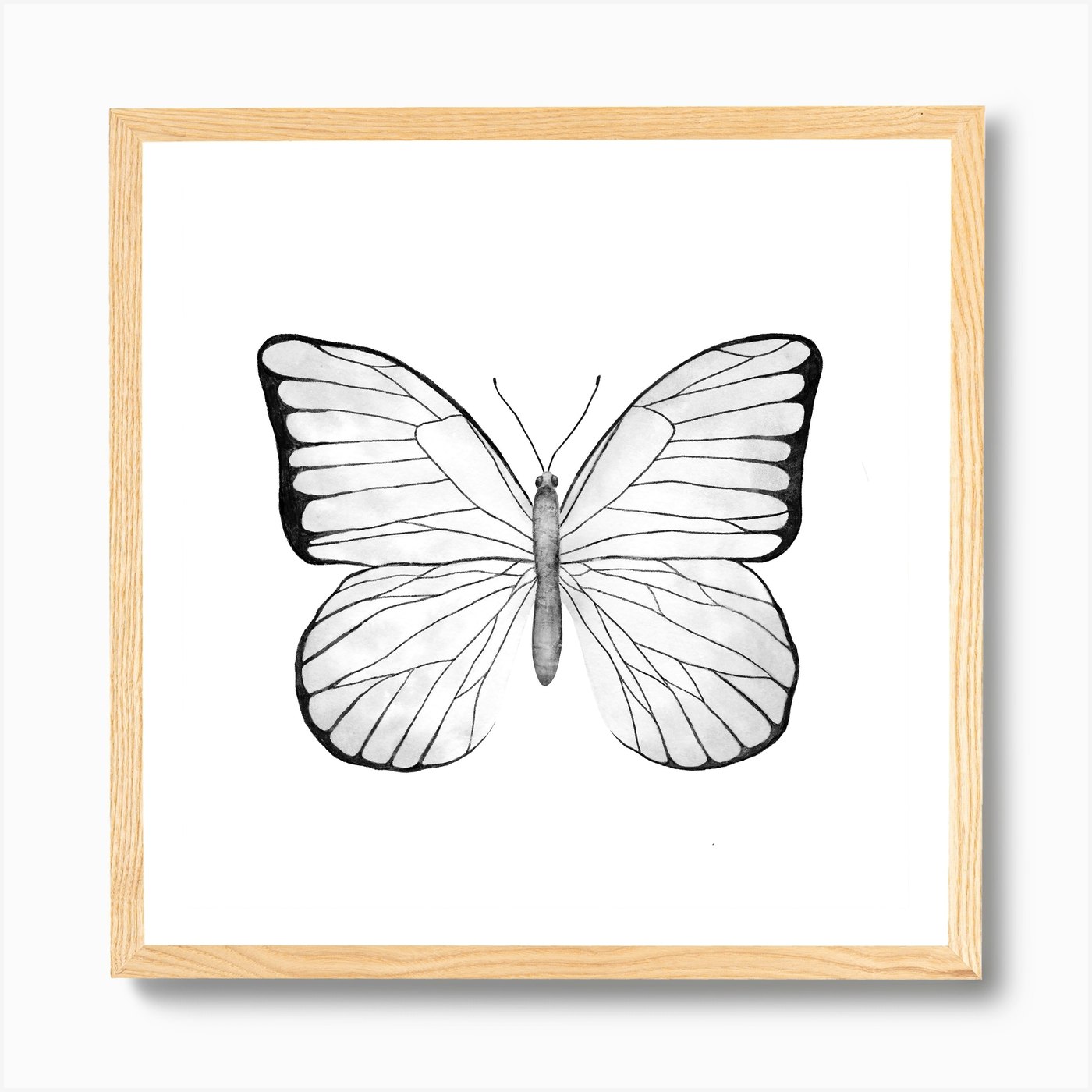 White Butterfly Square Art Print by Antonia Jürgens - Fy