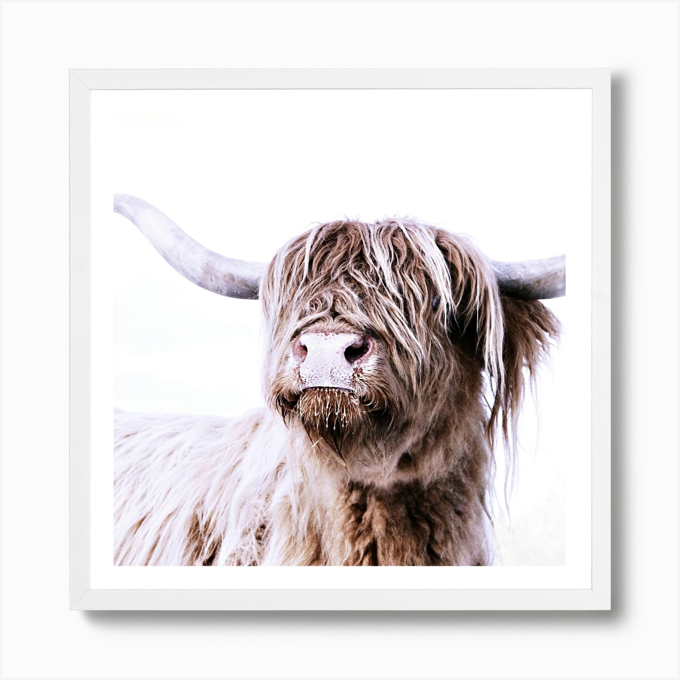 Highland Cattle Frida White Square Art Print by Monika Strigel - Fy