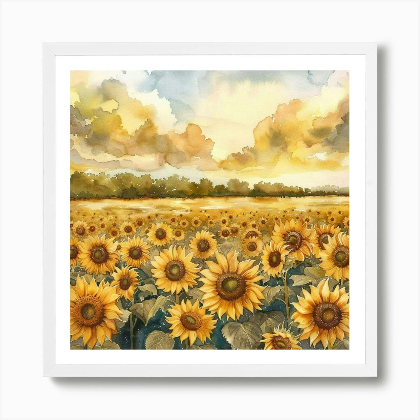 Original watercolour painting - Kansas Sunflower in discount Freestate Ad Astra #116