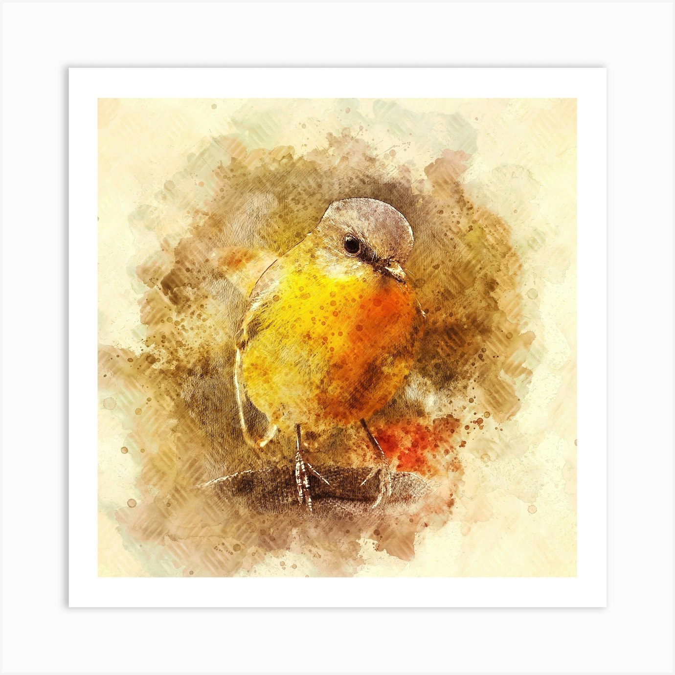 Little Bird Art Print by Alpenglow Fy