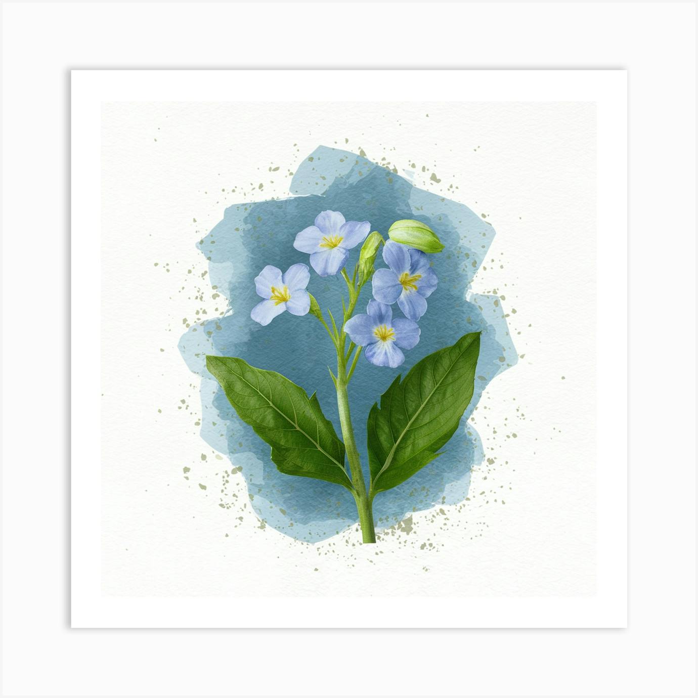 Forget Me Not Print, Boho orders Wall Art, Blue Flower Art, 20x20 Art