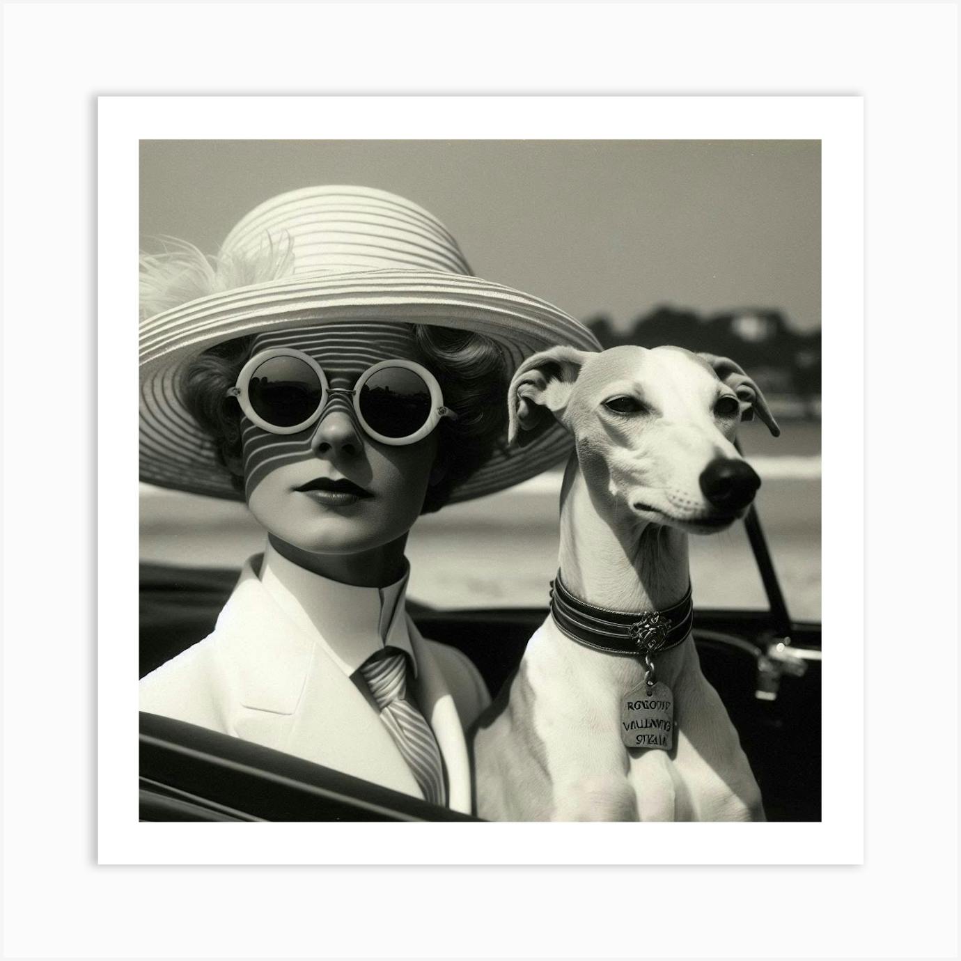 Greyhound goggles sale