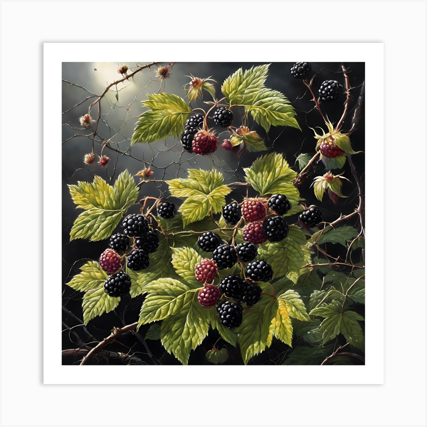 Autumn Brambles and Blackberries Art Print by NicolaF - Fy