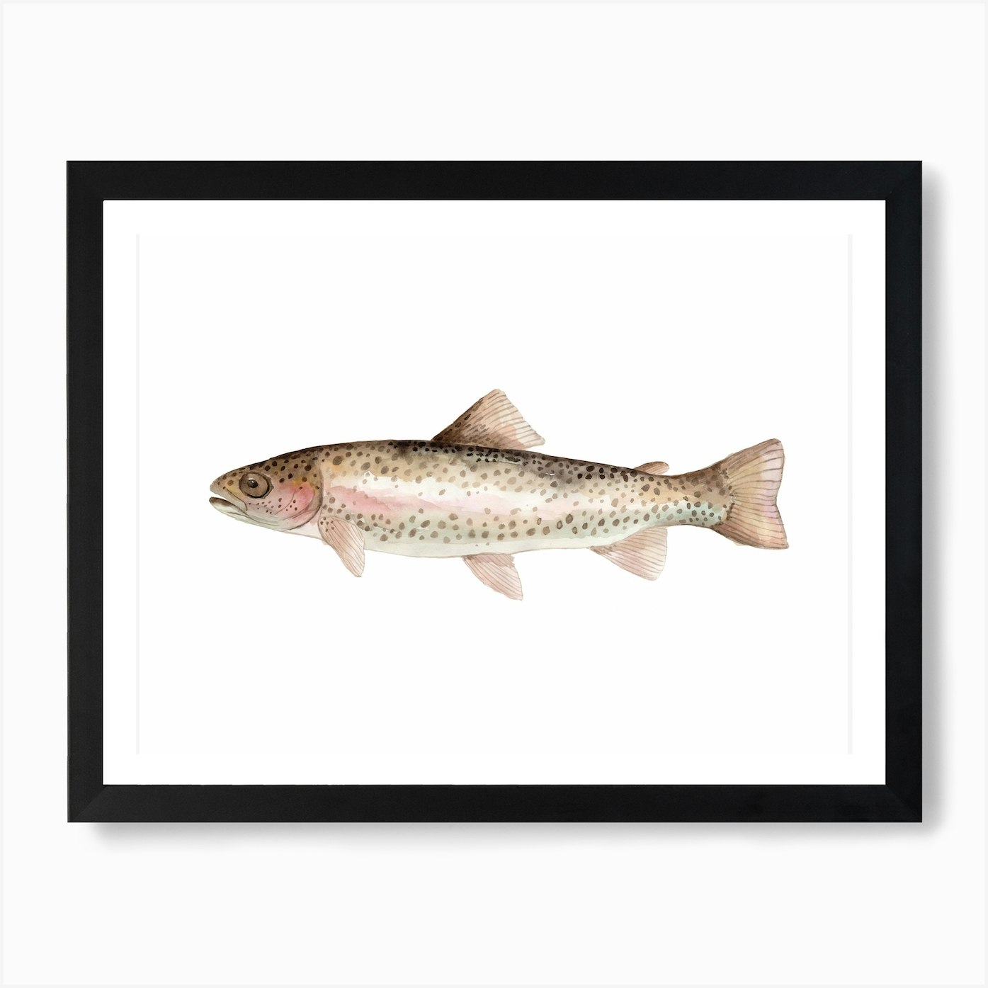 Sea Life Rainbow Trout Art Print by Mantika Studio Fy