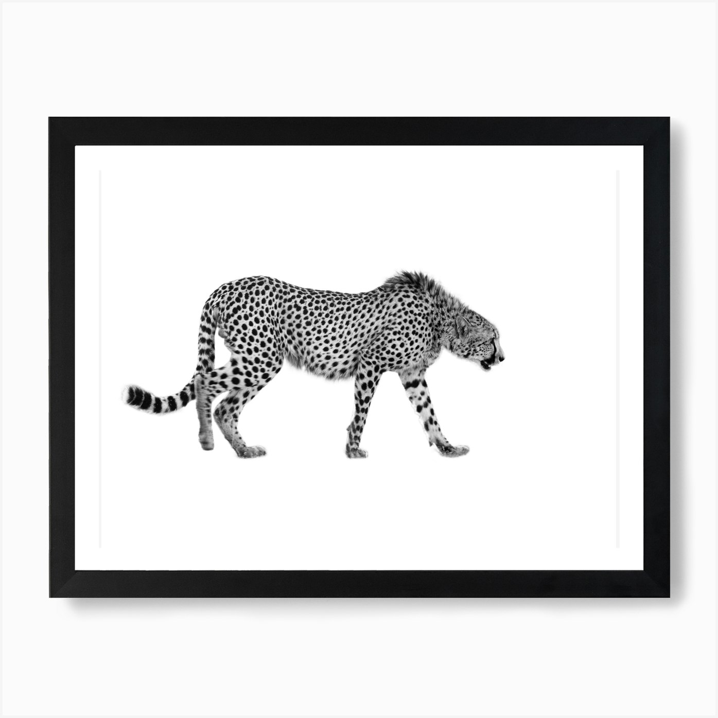 Cheetah Art Print by Printcrafta Fy