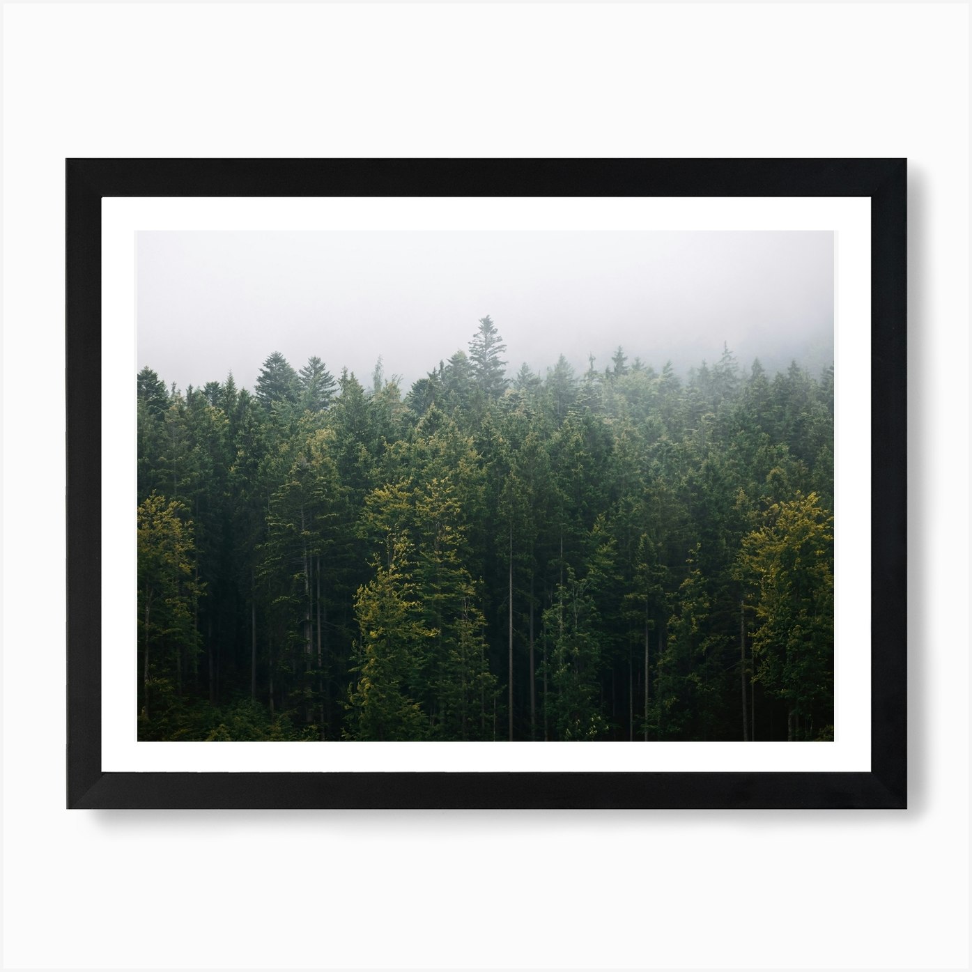 Gloomy Forest Art Print by Michael Schauer - Fy