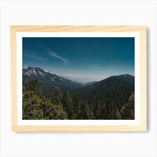 Sequoia National Park Art Print by Bethany Young - Fy