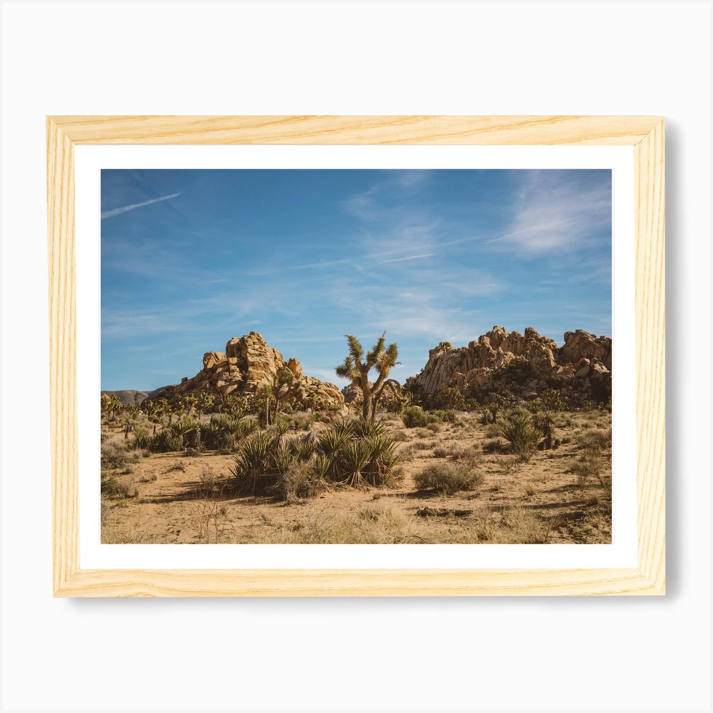 Joshua Tree National Park XXIII Art Print By Bethany Young - Fy