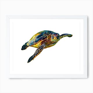 Hawksbill Sea Turtle Art Print by designkind - Fy