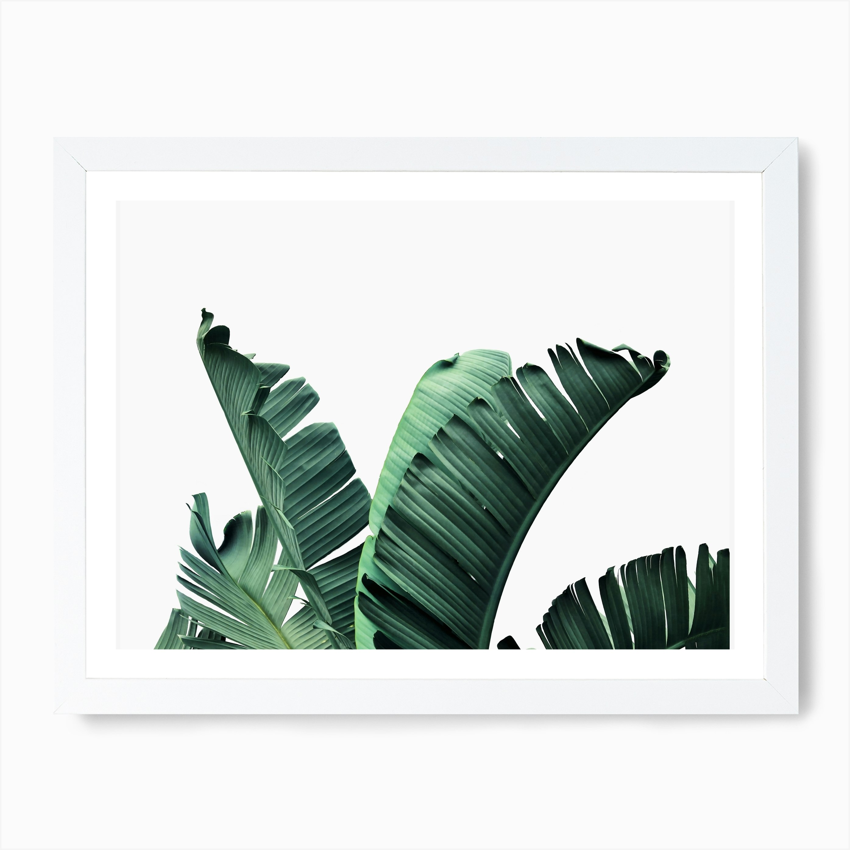 Banana Leaf Art Print by Sisi and Seb - Fy