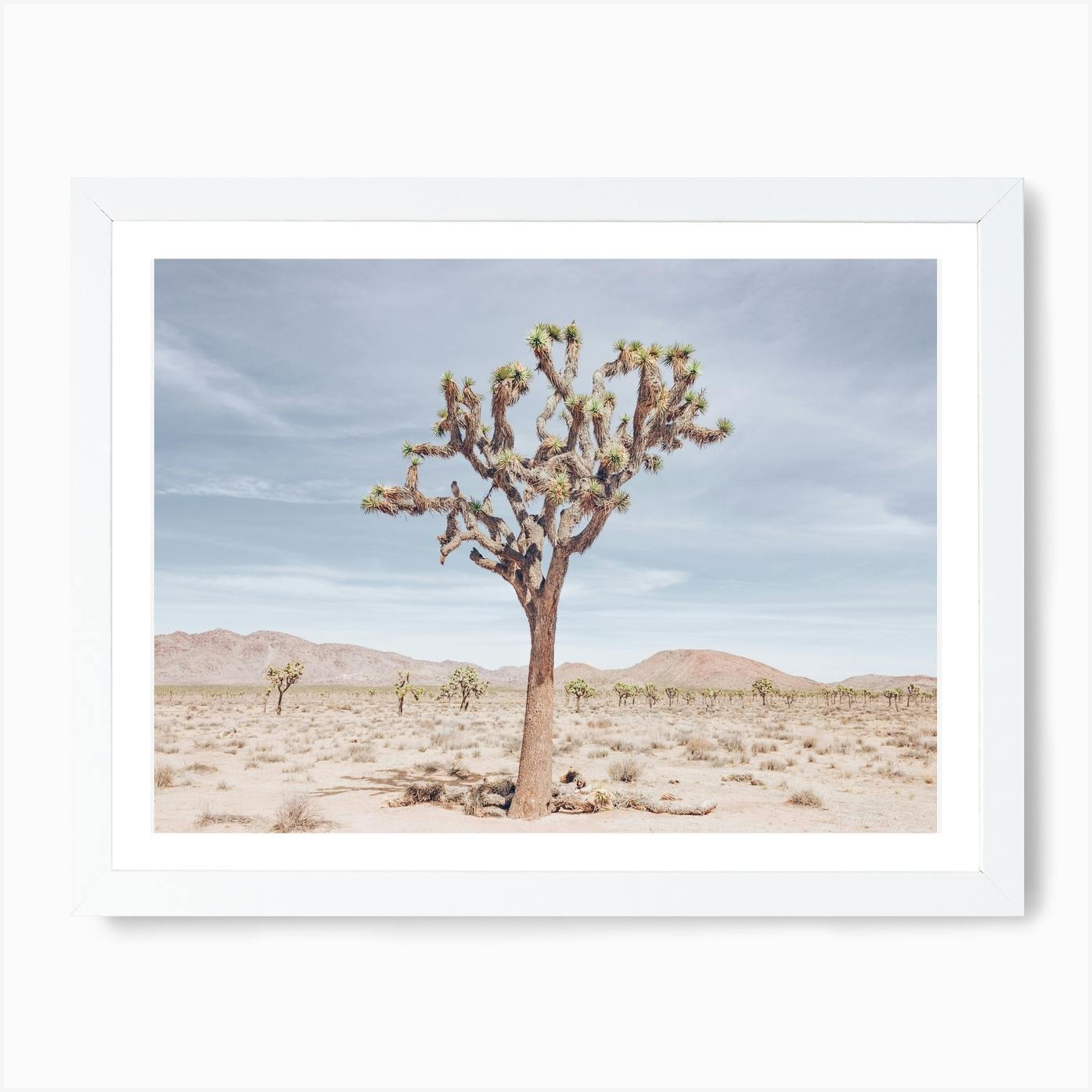 large photo print joshua tree
