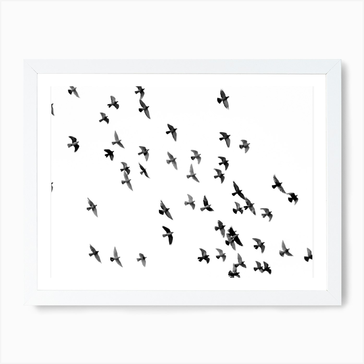 Birds Monochrome Office Art Print by Mambo - Fy