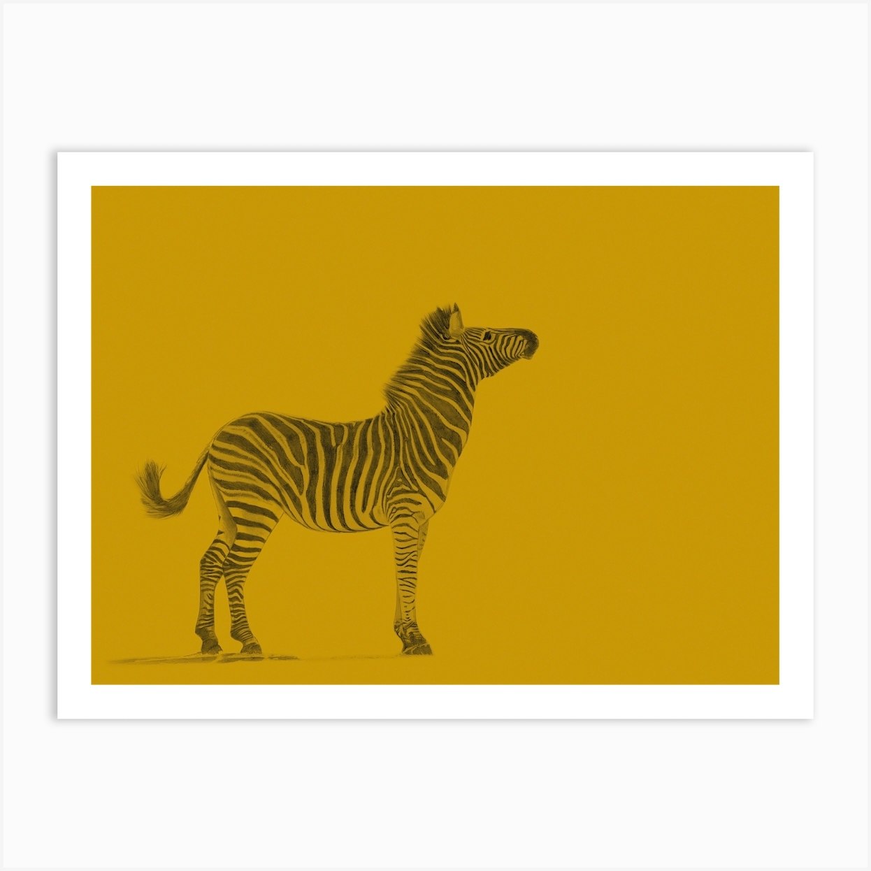 Zebra Yellow Handrawn Art Print By Sevendesignsart Fy 9938